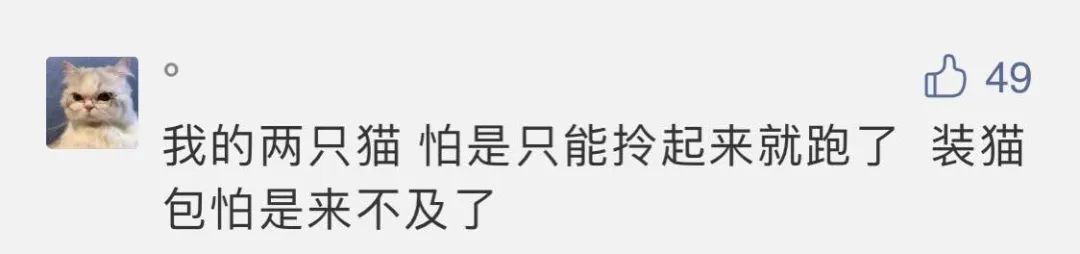 昨天地震时我家猫睡得叫都叫不醒，我是不是养到假猫了...