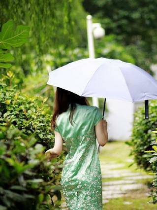 90分雨伞雨具