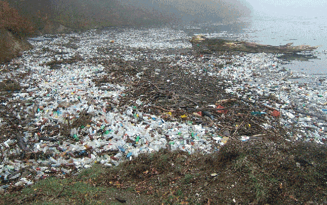 应对白色污染！2021年1月1日起将禁用不可降解塑料购物袋、吸管
