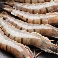 海鲜干货 篇五：虾、花甲、生蚝里面的黑色物质到底是啥，能不能吃！看完你就懂了