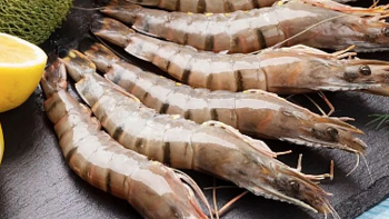 海鲜干货 篇五：虾、花甲、生蚝里面的黑色物质到底是啥，能不能吃！看完你就懂了
