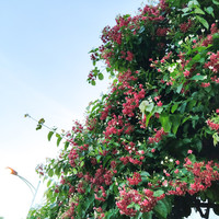 16款夏季消暑神器们：家居好物+夏日美味+治愈系植物=纳凉防暑小技巧get！