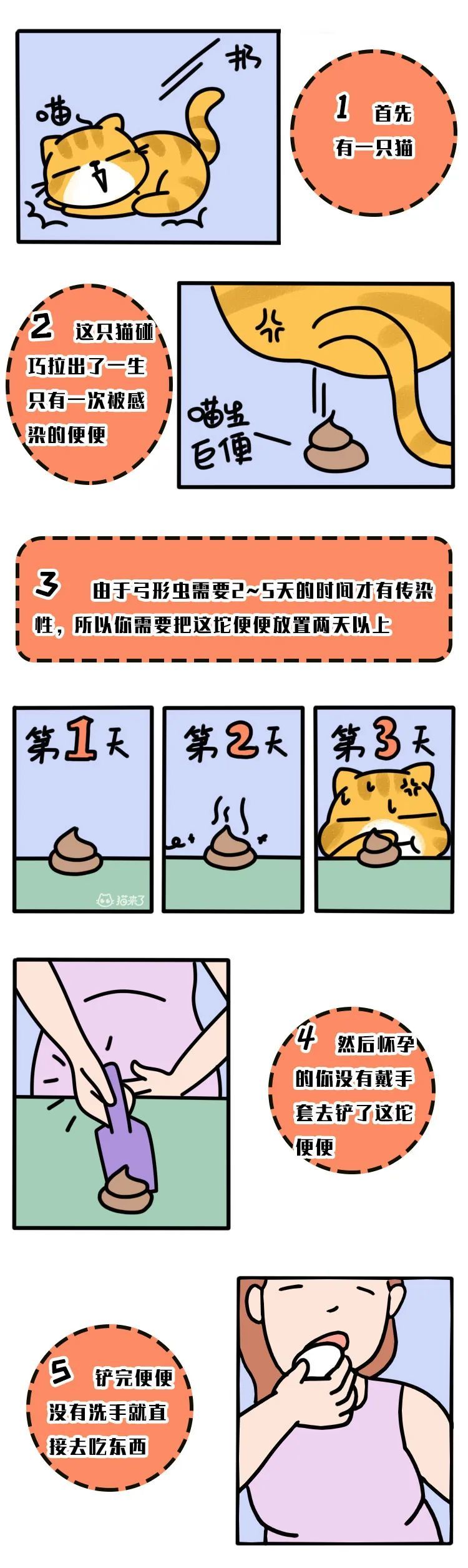 怀孕养猫行不行？这篇文章一定要转给你妈看！