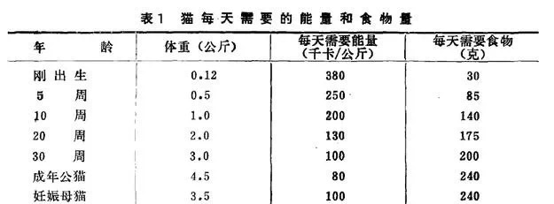 幼猫一定要吃幼猫粮？！不吃会拉肚子？