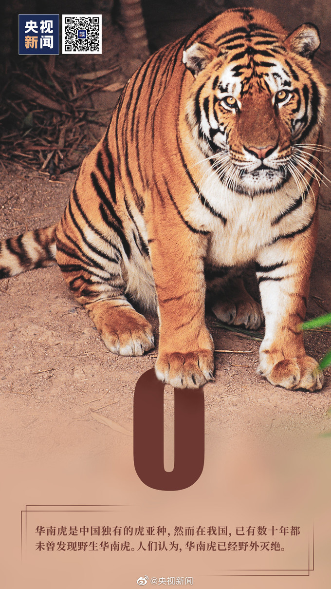 7月29日为世界爱虎日 拒绝野生动物制品 一起保护大老虎 服饰鞋包 什么值得买
