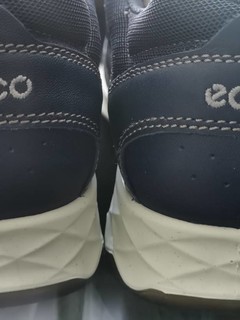 ECCO来了