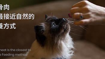 猫咪喂养指南 篇一：生骨肉的好处和做法配方
