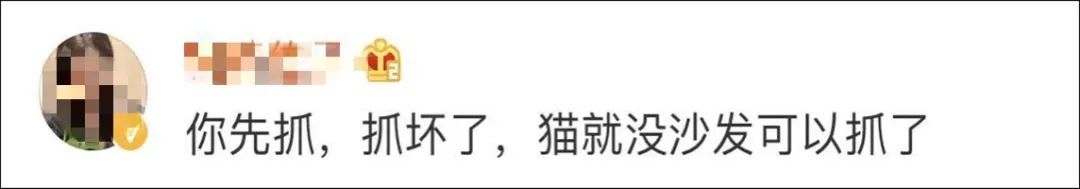 李荣浩在线求助网友：怎样才能让猫不要抓沙发啊！