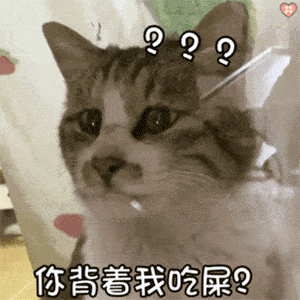 李荣浩在线求助网友：怎样才能让猫不要抓沙发啊！