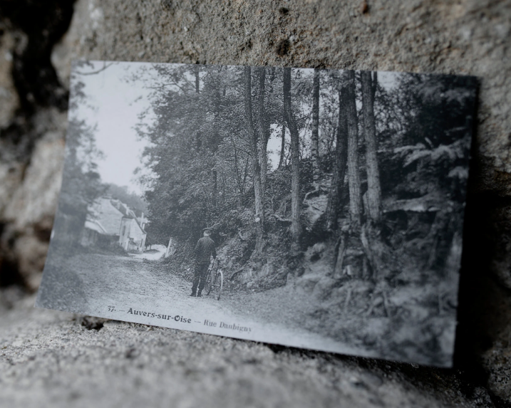 通过一张老明信片，梵高生前最后画作《树根》的取景地被发现