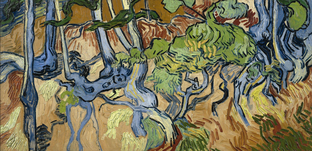 通过一张老明信片，梵高生前最后画作《树根》的取景地被发现