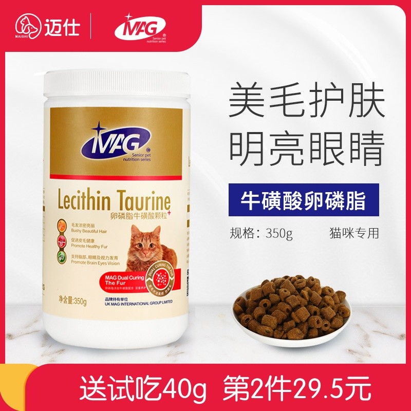 猫咪除了猫粮还一定要吃什么？