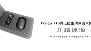 Haylou T16真无线主动降噪耳机
