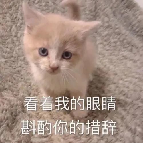 猫咪每天给我送只蟑螂当早餐，我该不该吃了？