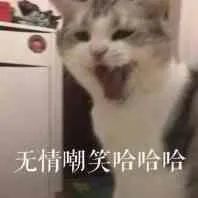 猫咪每天给我送只蟑螂当早餐，我该不该吃了？