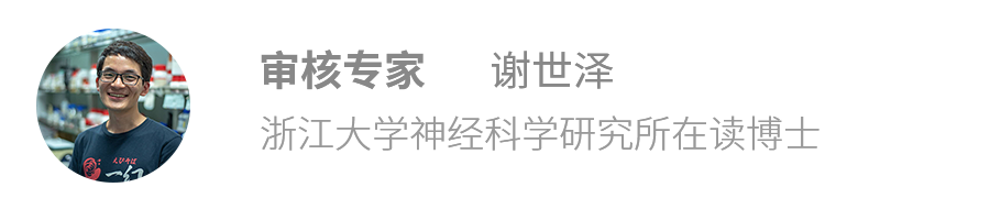 一篇让人屁股一紧的文章