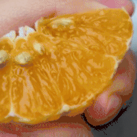 食客：贵圈真乱！细数柑橘家族的二三事！