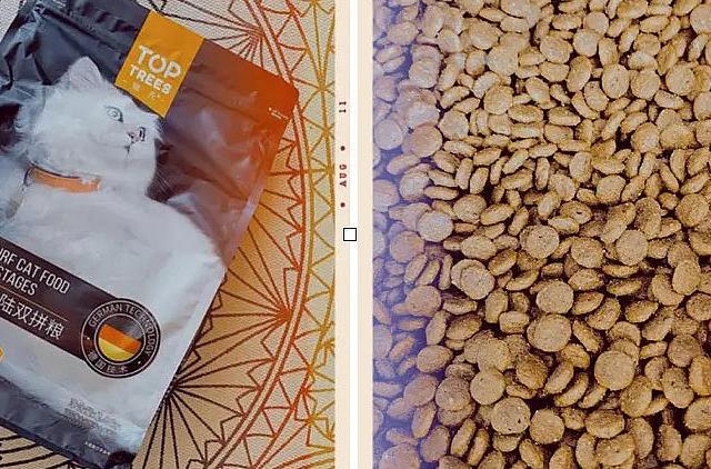 “他哪里丑了？！明明很帅啊！！”来自无毛猫饲养家长的怒吼