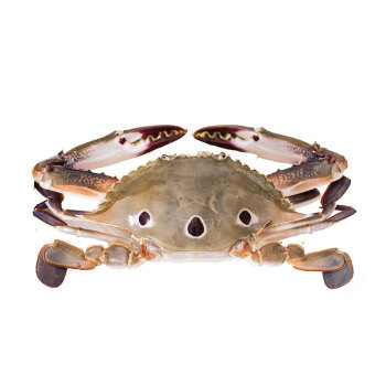 做第一个会吃螃蟹的人，一蟹六吃让你也能做出不一样的大闸蟹