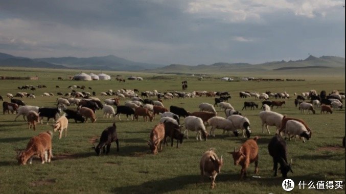 蒙古国送的3万只羊到中国就会变成羊肉｜游客在靖边丹霞地貌刻字表白