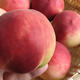 洗桃子别只用清水，水中多加两样，桃毛、杂质自然脱落，特干净