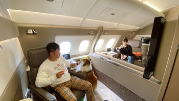 旅游自驾 篇五：疫情前带狗狗钱多多坐飞机上客舱坐头等舱游东南亚