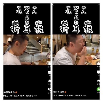 #当北方人第一次吃折耳根#...我跟着在yue