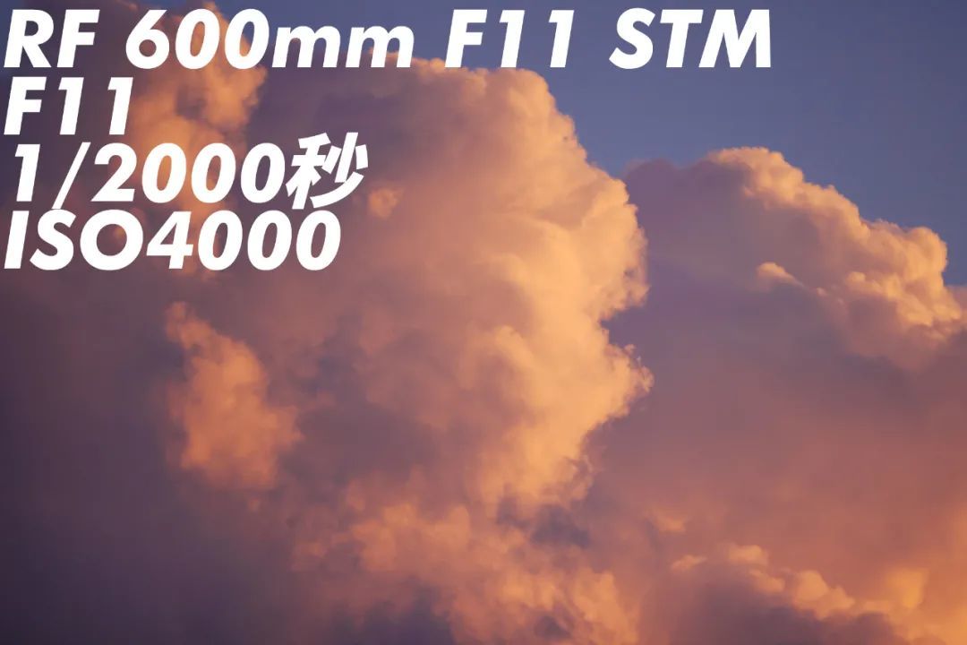 相机LIFE | RF600mm &RF800mm F11 IS STM体验  轻量化超远摄镜头的博弈