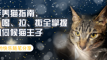 新手养猫指南，吃、喝、拉、撒全掌握。精心伺候猫主子