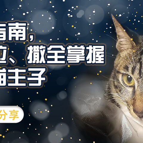 新手养猫指南，吃、喝、拉、撒全掌握。精心伺候猫主子