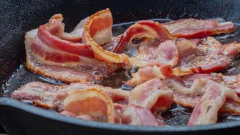 肉食动物自救协会 篇一：培根（Bacon）选购终极指南