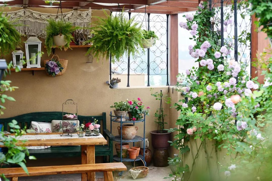 20年资深花友打造诗意栖居，70㎡内外空间遍布鲜花绿植