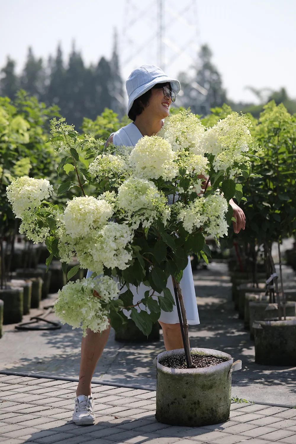 0.5m²-1m²植物角5大黄金搭配方案，迷你阳台也能参考（含封闭空间）