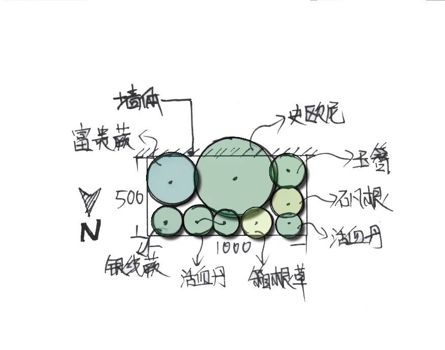 0.5m²-1m²植物角5大黄金搭配方案，迷你阳台也能参考（含封闭空间）