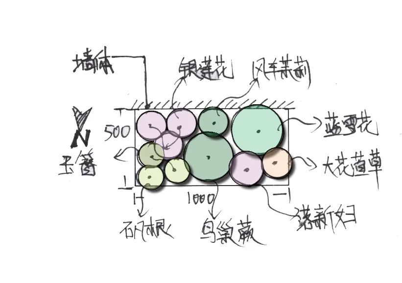 0.5m²-1m²植物角5大黄金搭配方案，迷你阳台也能参考（含封闭空间）