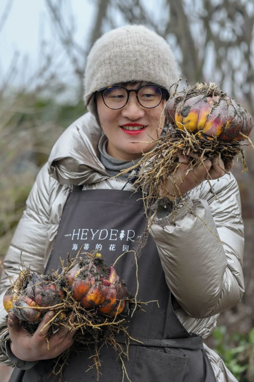 球根植物养护5大难 答案在这里 盆栽 什么值得买