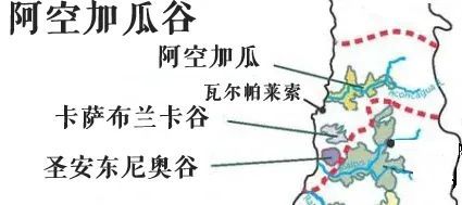 澳洲酒喝不到了？不如探索一下超高性价比的智利酒——智利葡萄酒保姆级扫盲