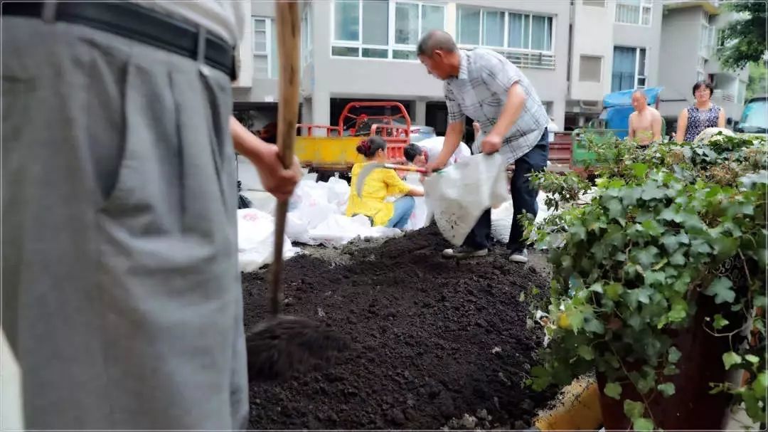 秋季绣球养护指南，施肥、覆土、修剪都在里面了！