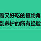 打造糙养也能好看又好吃的植物角，分享我从选购到养护的所有经验！