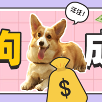 石子儿宠物谈 篇二：想要养狗？你的钱包准备好了吗？聊聊养狗的每年要花多少钱！