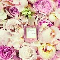 库尔吉安 玫瑰 一款鲜嫩清润的玫瑰女士香水