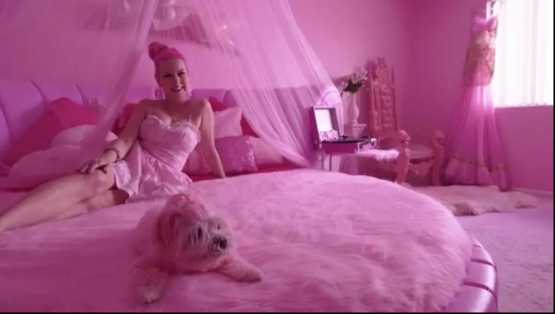 她花100万打造百分百粉色的家，连狗都是粉的