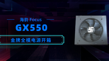 Nas入门折腾记 篇二：海韵 Focus GX550 80Plus 金牌全模电源开箱