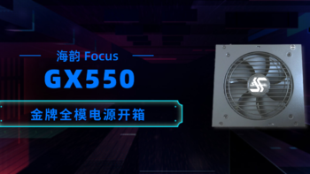 Nas入门折腾记 篇二：海韵 Focus GX550 80Plus 金牌全模电源开箱 