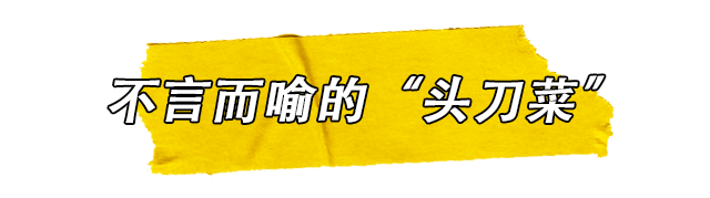 你吃过睾里睾气的小猪蛋吗？