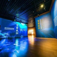 上海·“黑石号”丨沉船文物首次亮相中国，和孩子必去的跨国大展！