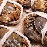 阳澄湖大闸蟹图鉴：怎样买到一只好的阳澄湖大闸蟹