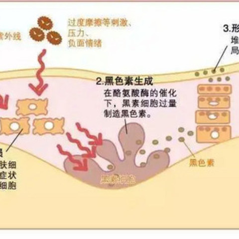 美白最强攻略丨原来靠谱的美白方法是...