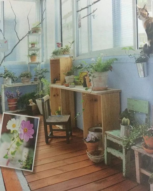 如何打造一个适合自己的阳台花园？