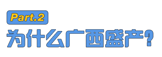 广西水牛奶为啥成了“奶中贵族”？